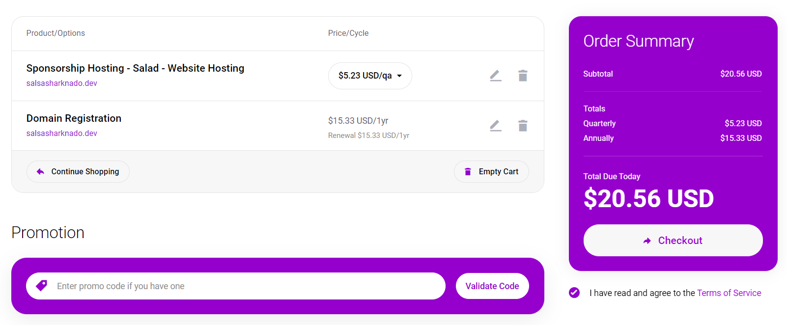 Screenshot of checkout page