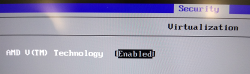 Screenshot of BIOS