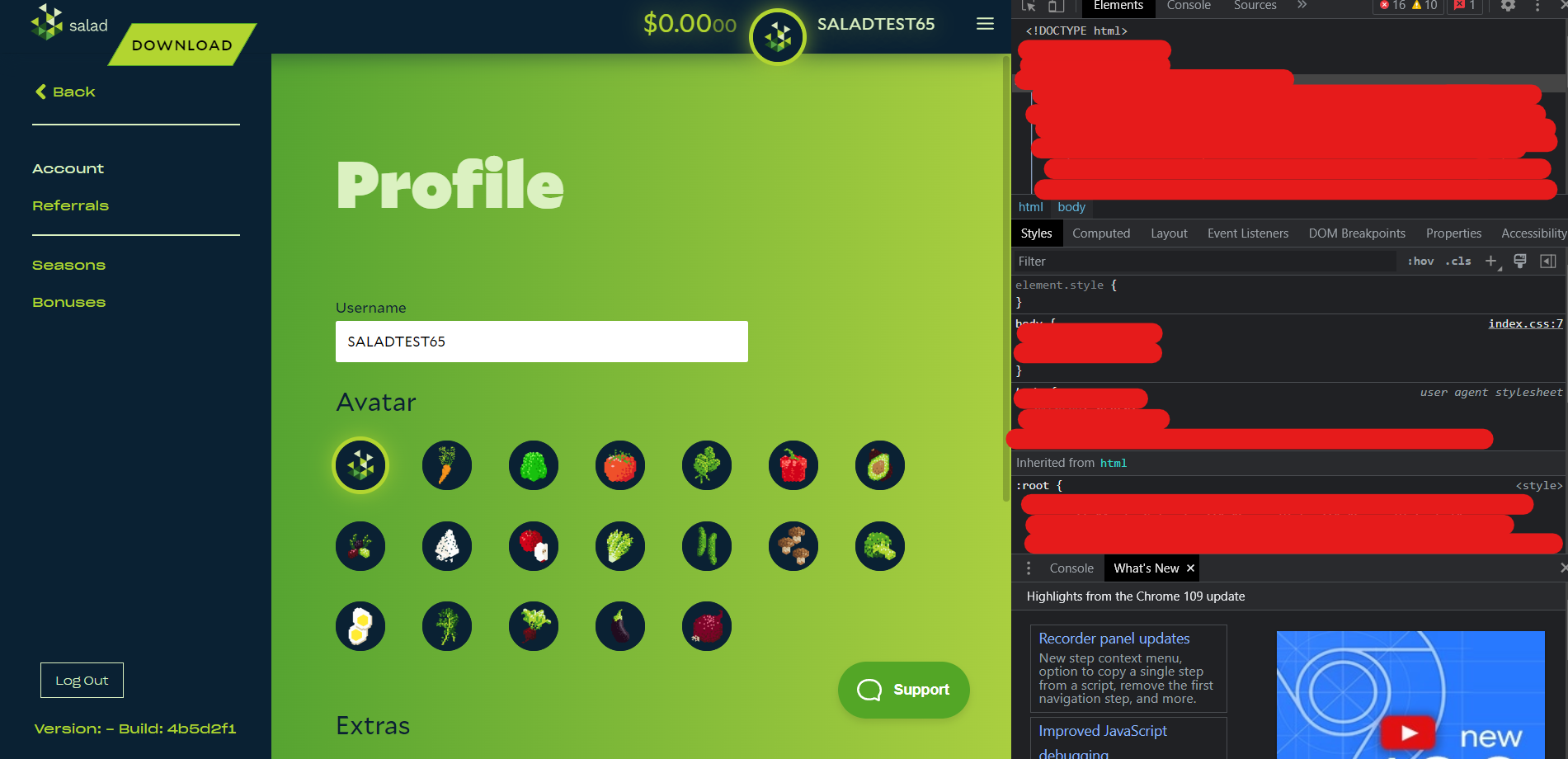 Screenshot of browser developer console