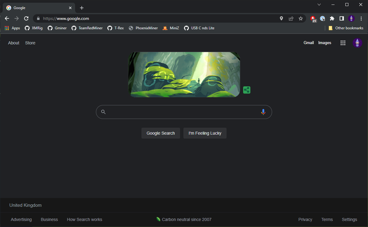 opened Web Browser