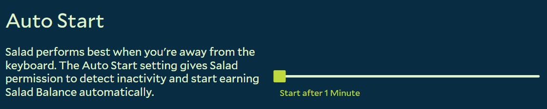 SCreenshot showing the auto start settings