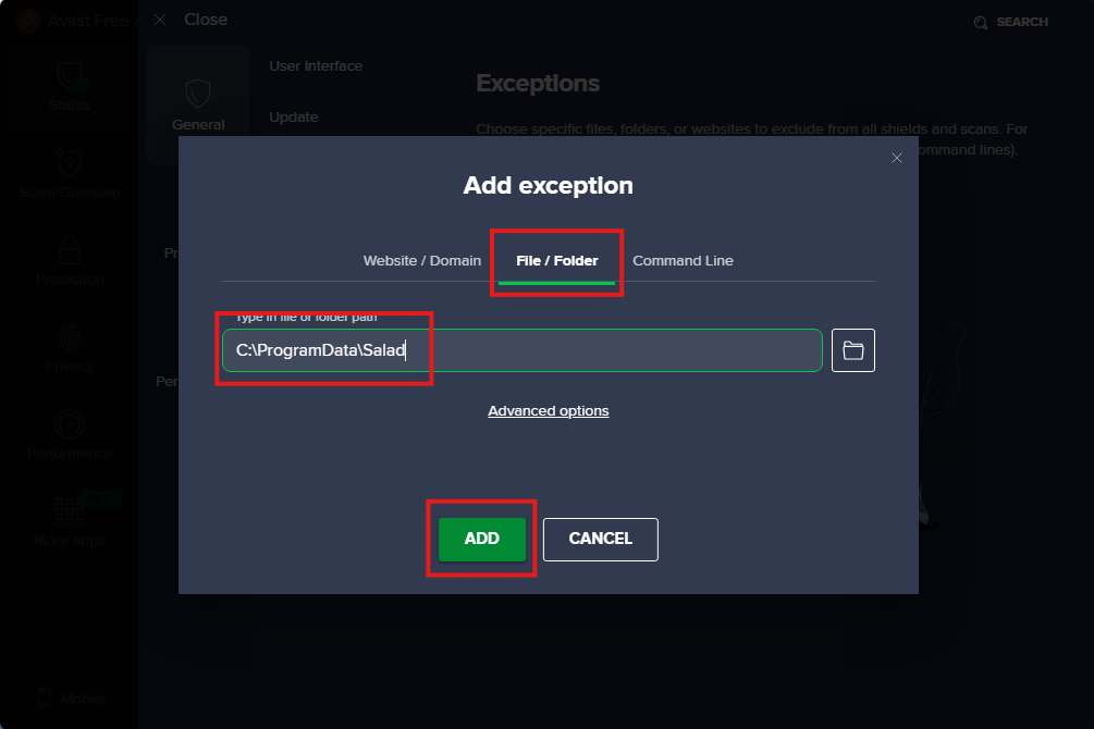 entering salad file path in avast exclusion