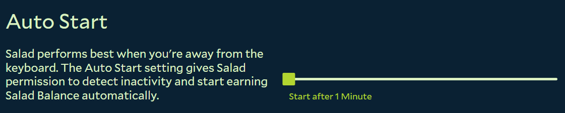 Salad Settings showing auto start options