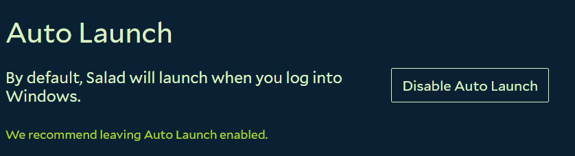 Salad Settings showing auto launch options
