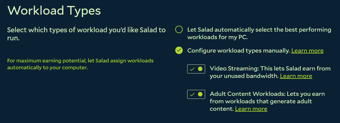 Salad Settings showing available workload types to opt into