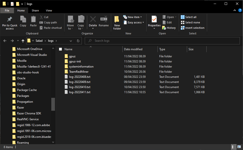 Screenshot of windows files showing the salad logs folder
